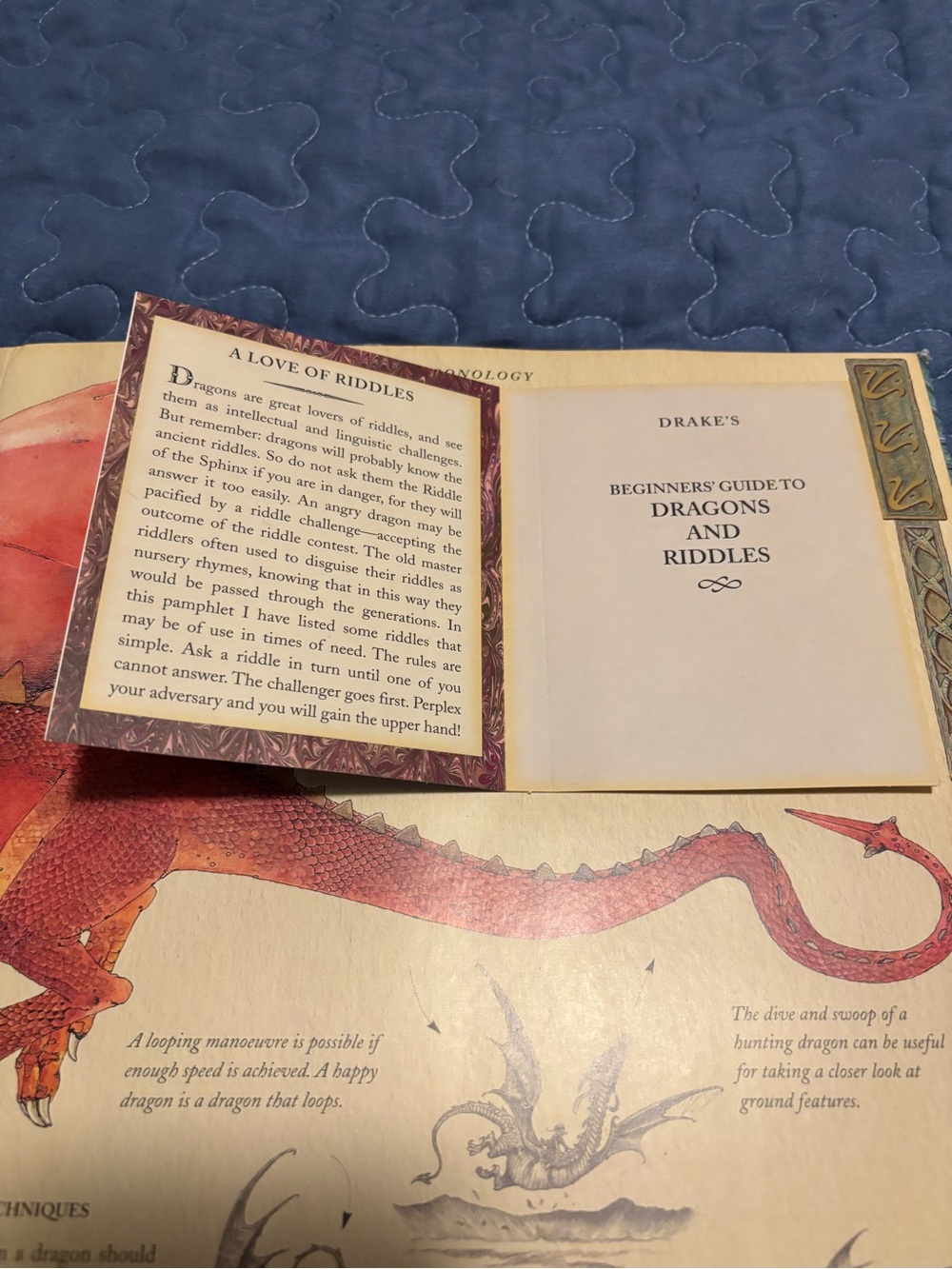 Dragonology The Complete Book of Dragons - Picture 7 of 9